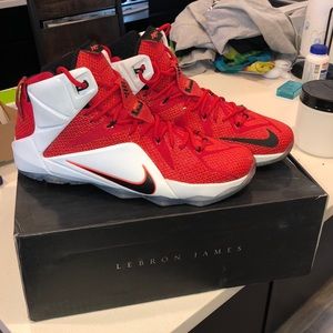 Nike Lebron 12 “Heart of a Lion”